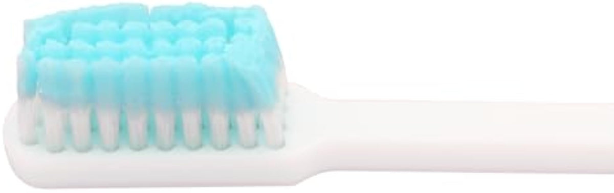 Prepasted Reusable Toothbrush- 30 Pack- Made in the USA