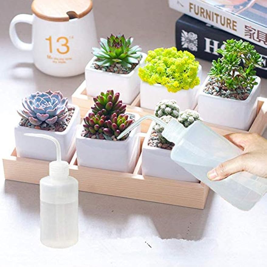 DONSTRAW Wash Bottle 2pcs 250ml/8oz Safety Bottles Watering Tools, Economy Plastic Squeeze with Narrow Mouth Scale Labels for Medical Succulent Cleaning Washing